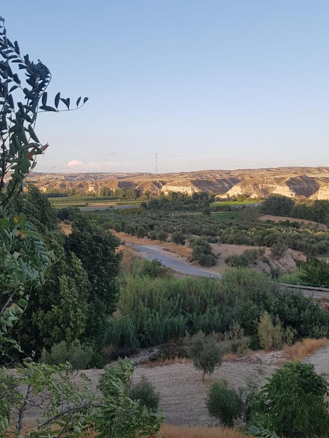 شقة Cueva Maite Cortes de Baza المظهر الخارجي الصورة